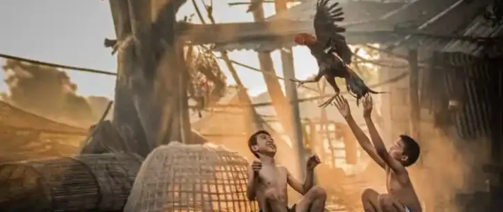 WS168 vs Platform Lain: Mana yang Lebih Unggul? WS168 vs Platform Lain